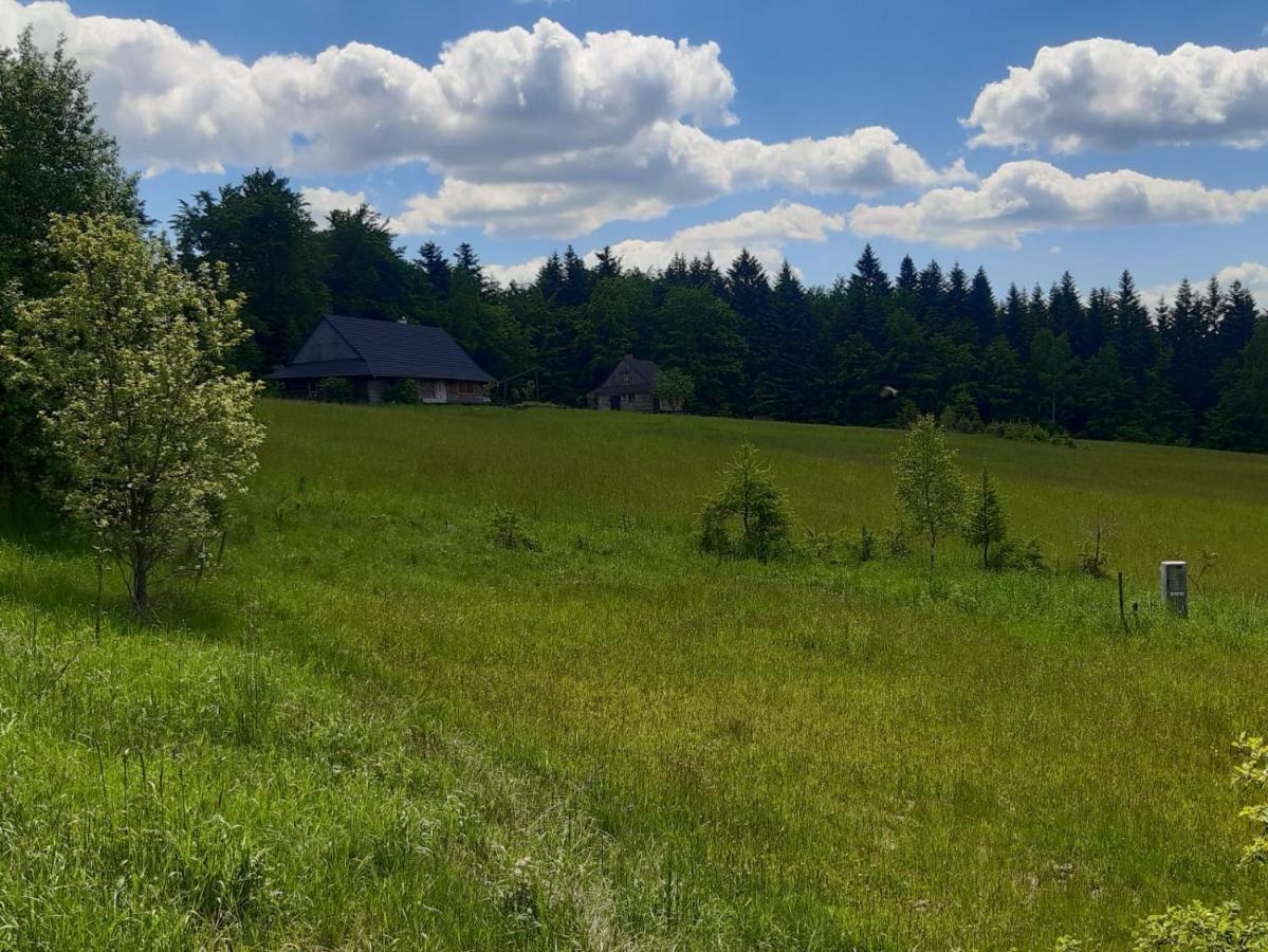 Kuznia Nowica Apartment Uscie Gorlickie Luaran gambar